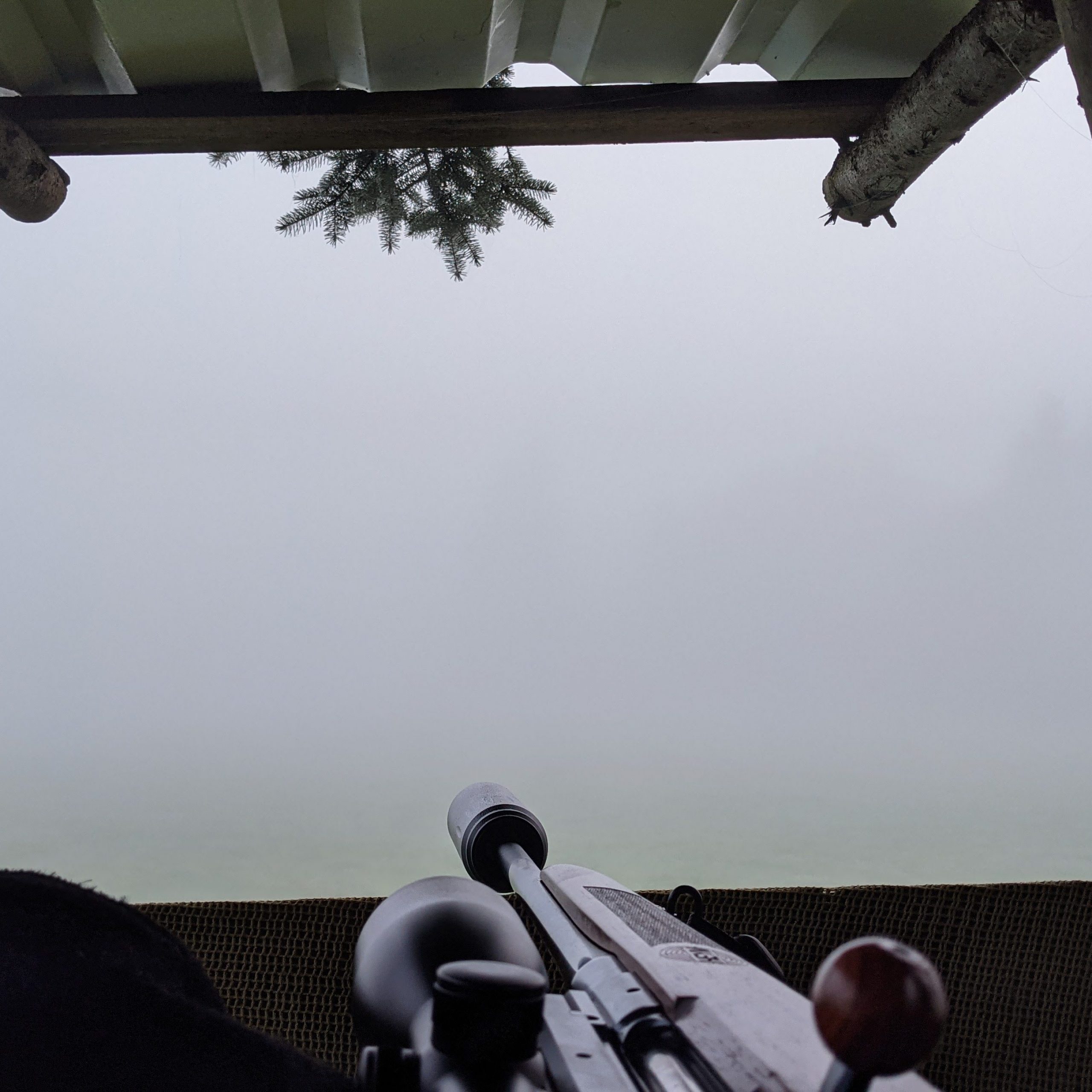 Ansitz im dichten Nebel
